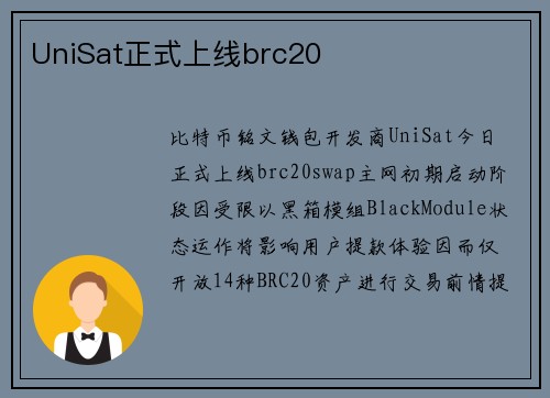 UniSat正式上线brc20